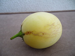 pepi97.JPG