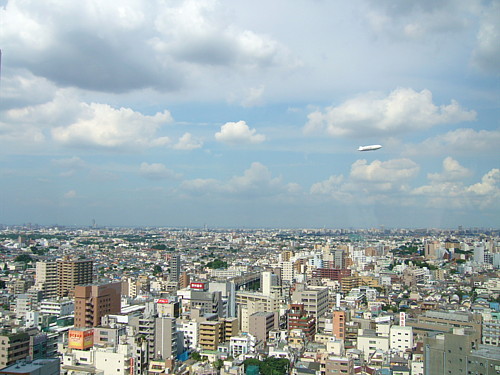 tokyot.JPG